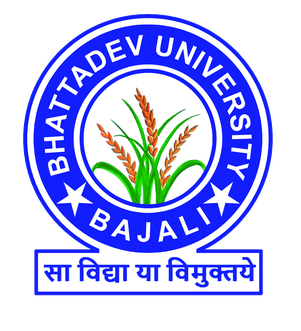 Birangana Sati Sadhani Rajyik Vishwavidyalaya
