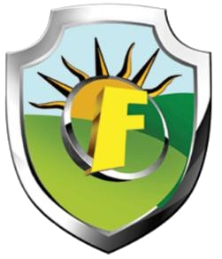 Future University