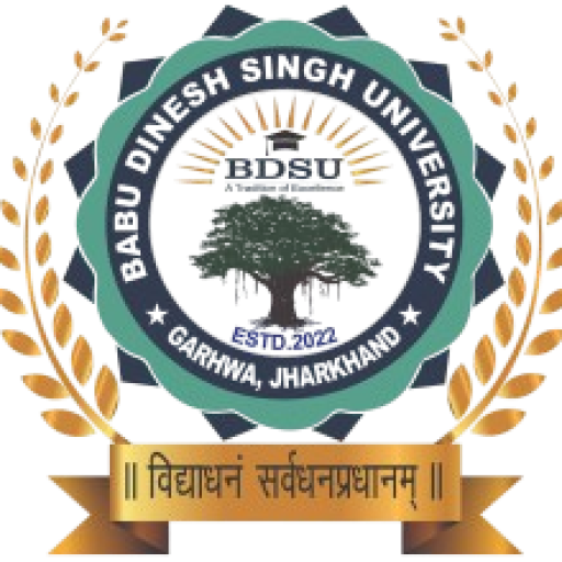 Babu Dinesh Singh University